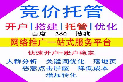 搜索引擎营销（SEM）的投放策略与效果评估——以某行业领先企业的案例分析
